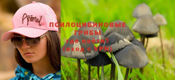 амф Алзамай