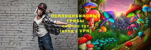 молекула духа Алексеевка