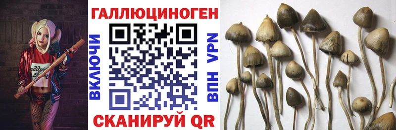 купить наркотики сайты  Муравленко  Галлюциногенные грибы мухоморы 
